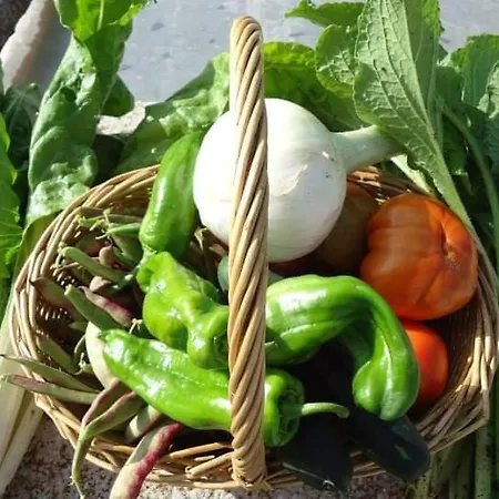 Casa Rural Martina Gospodarstwo wiejskie *